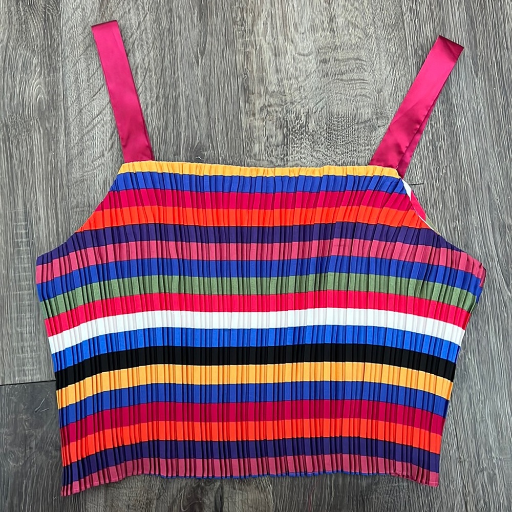 Lucy Paris Pleated Striped Crop Top